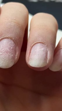 Güzellik salonundaki tırnaklar için Japon manikür süreci. Eldivenli profesyonel manikürcü gıdaları tırnaklarına sürter. Doğal malzemelerle el bakımı tekniğini kavrayın. Manikür, zarif manikür.