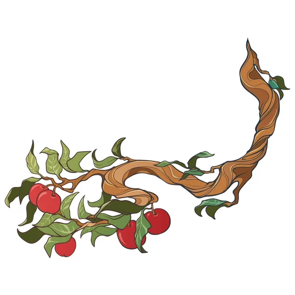 Kırmızı Elmalı Yeşil Yapraklı Elma Dalı Dekoratif Yapımı Tasarım Öğesi — Stok Vektör