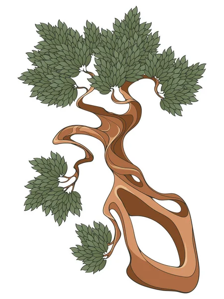 Verdrehte Baumstämme Mit Blättern Bonsai Dekorative Handgezeichnete Gestaltungselemente Eps10 Vektorabbildung — Stockvektor