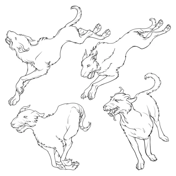 Los Perros Wolfhound Irlandeses Empacan Diferentes Posiciones Carrera Conjunto Dibujos — Vector de stock