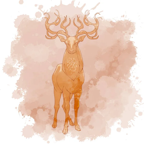 一只红鹿雄鹿高高地站立 雄伟的鹿角 在水彩画纹理背景上孤立的线条绘图 Eps10矢量说明 — 图库矢量图片