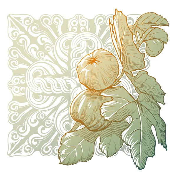 将水果和叶子与传统的格鲁吉亚装饰放在一起 放在背景上 点火器或装饰构图 在白色背景上孤立的素描风格的绘画 Eps10矢量说明 — 图库矢量图片