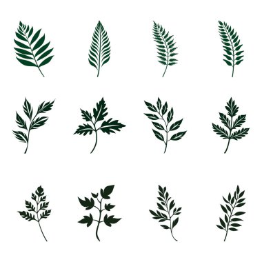 Arkaplan için Yaprak Vektörü Koleksiyonu