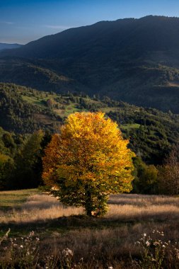 Arka planda bir ağaç ve dağ sırası olan sonbahar manzarası