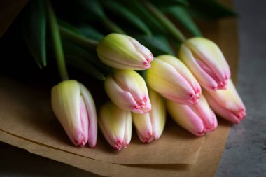 Pembe ve sarı bahar lale çiçekleri ve ahşap masadaki lale. Paskalya kartı