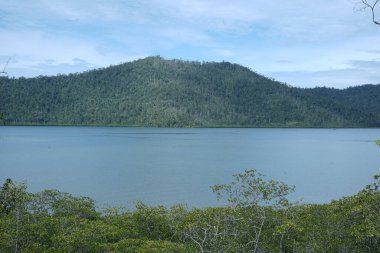 Fotoğraf doğal ve okyanus manzaralı