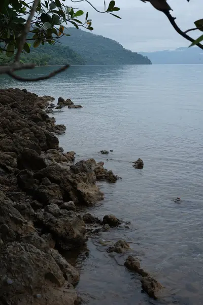 Sabahları bir göl manzarası.