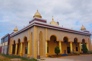 pirinç tarlaları, yeşil pirinç tarlaları ve yeşil ağaçlı mavi gökyüzü.