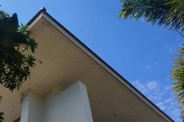 Yazın palmiye ağaçları ve mavi gökyüzü arka planı