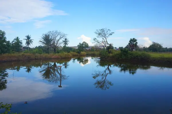 Nehir ve gölü olan güzel bir manzara.