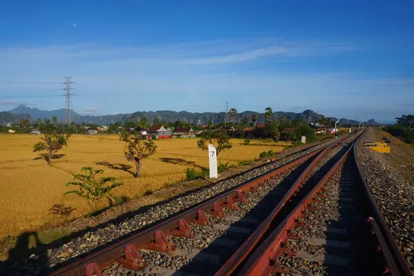Kırsal kesimdeki demiryolu manzarası