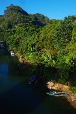 Nehir manzarası, ağaçlar ve dağlar mavi gökyüzüne karşı, kalbi huzurlu kılar.