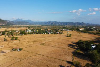 Kurak mevsimde pirinç tarlalarının fotoğrafları, dağların ve mavi gökyüzünün arkaplanı.
