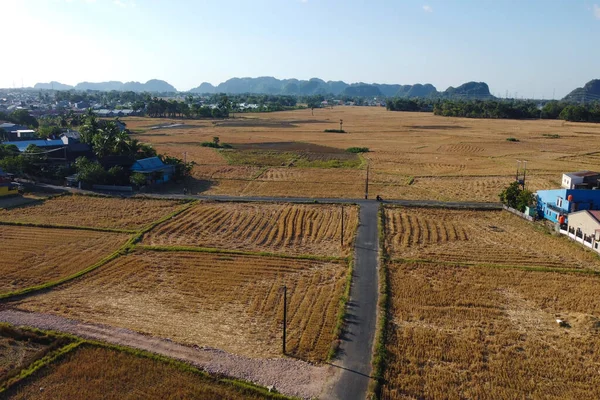 Kurak mevsimde pirinç tarlalarının ve yolların fotoğrafları