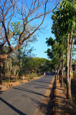 Güneşli bir günde mavi gökyüzüne karşı asfalt yollar ve kuru ağaçlar.