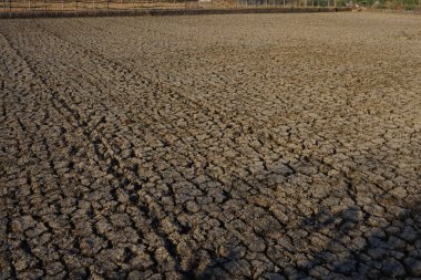 Kuru toprağın dokusu öğleden sonra kurak mevsimde kırılır.