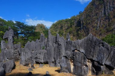 Endonezya Leang-leang Turizm Parkı 'ndaki kaya bahçesi manzarası