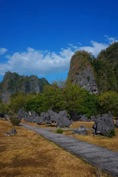 Endonezya Leang-leang Turizm Parkı 'ndaki kaya bahçesi manzarası