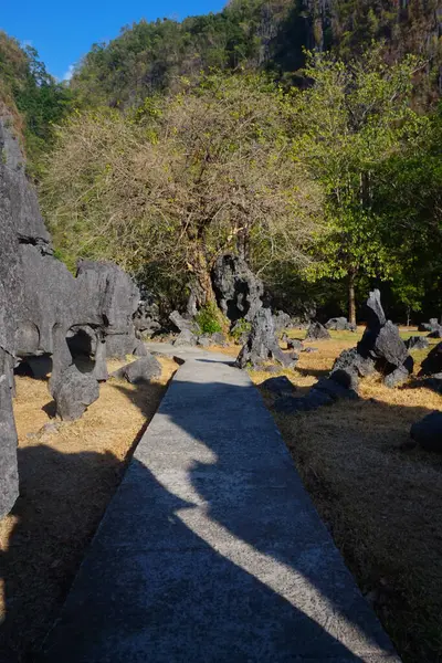 Endonezya Leang-leang Turizm Parkı 'ndaki kaya bahçesi manzarası