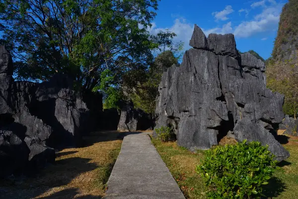 Endonezya Leang-leang Turizm Parkı 'ndaki kaya bahçesi manzarası