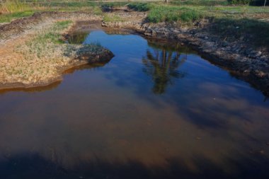 Kurak mevsimde güneşli bir günde balık havuzu