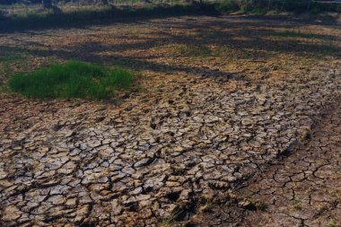Kuru toprağın dokusu öğleden sonra kurak mevsimde kırılır.