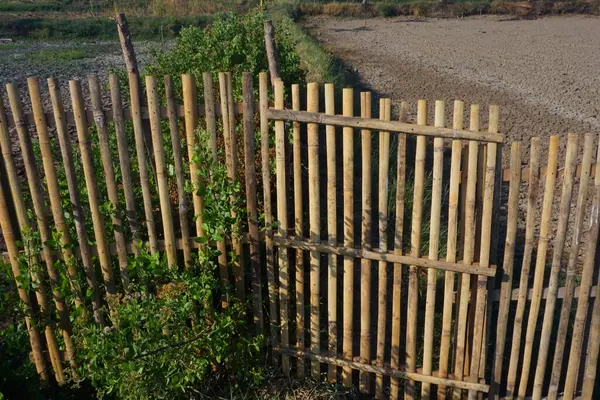 Kuru bambu çitleri düzgünce yerleştirilmiş, pirinç tarlalarının kenarında.