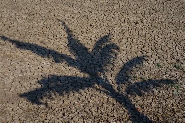 Kuru toprağın dokusu öğleden sonra kurak mevsimde kırılır.