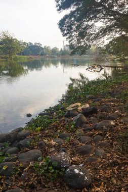 Sabahları göl manzarası ve ağaçlar