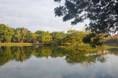Sabahları göl manzarası ve ağaçlar
