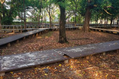 Sabahları tahta köprüsü ve gölgeli ağaçları olan bir park.