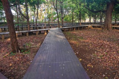 Sabahları tahta köprüsü ve gölgeli ağaçları olan bir park.