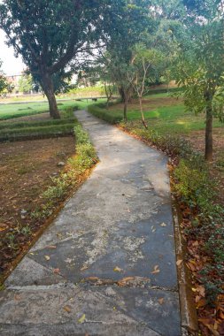 Sabahları tahta köprüsü ve gölgeli ağaçları olan bir park.