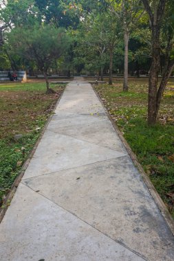 Sabahları tahta köprüsü ve gölgeli ağaçları olan bir park.