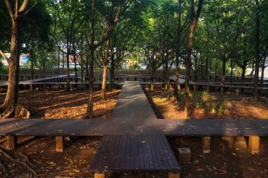 Sabahları tahta köprüsü ve gölgeli ağaçları olan bir park.