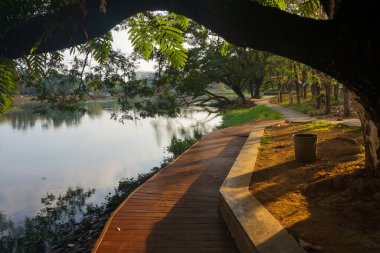Gölün kıyısındaki ağaçların altında dinlenebileceğim bir yer.