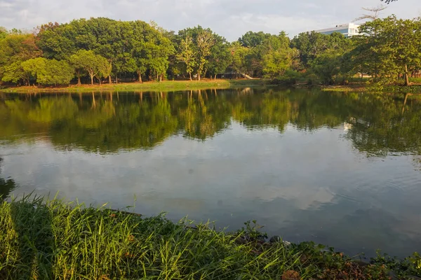 Sabahları göl manzarası ve ağaçlar