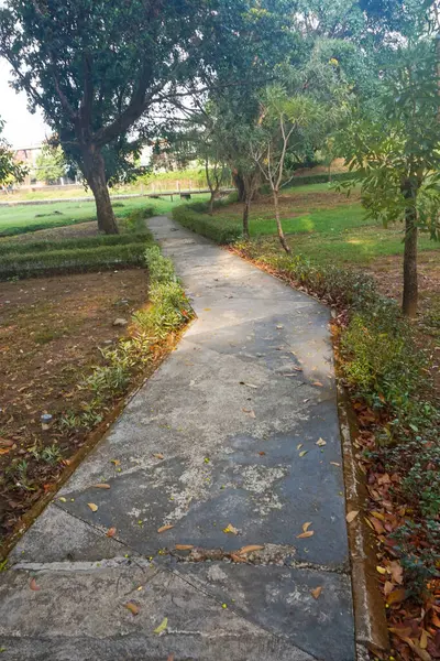 Sabahları tahta köprüsü ve gölgeli ağaçları olan bir park.