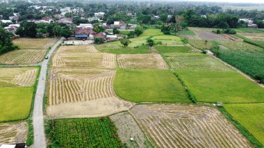 Kırsal kesimin hava manzarası barışçıl bir atmosfer yaratır.