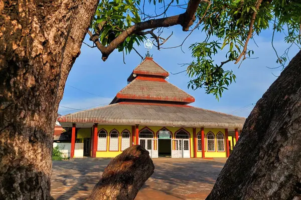 Klasik bir tasarıma sahip cami ve ön planda kuru bir ağaç var.