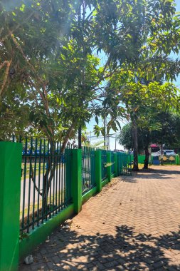 Gün boyunca yeşil çit ve ağaçlar