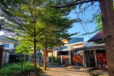 Sabahleyin bir yerleşim yerindeki cadde manzarası