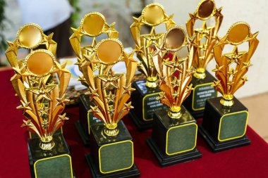 Masanın üzerinde mezuniyet kupasını görebilirsiniz.