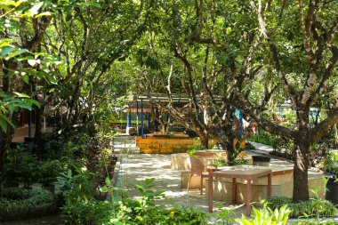 Gün boyunca parkta patikalar ve ağaçlar