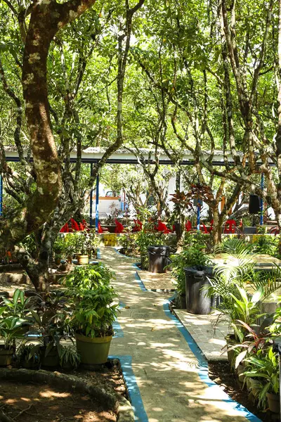 Gün boyunca parkta patikalar ve ağaçlar