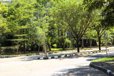 Gündüzleri temiz yollar ve manzaralar