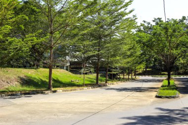 Gündüzleri temiz yollar ve manzaralar