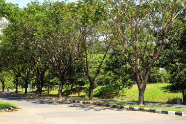 Gündüzleri temiz yollar ve manzaralar