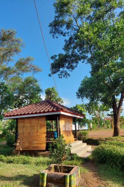 Büyük bir ağacın altındaki bahçede bir gezegen.