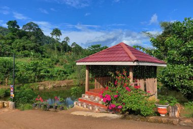 Güneşli bir günde bahçede bir çardak.